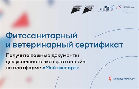 Удобное оформление заказа через онлайн-платформу