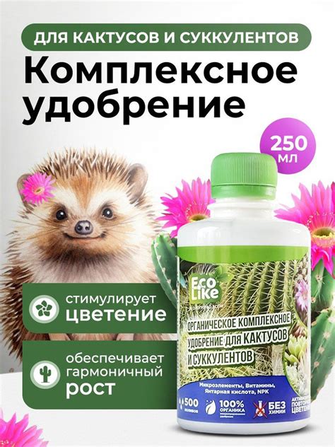Удобрение и подкормка: питательные вещества для цветения