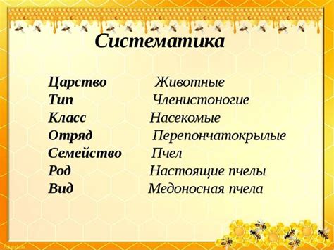 Удовлетворенность от меньшего