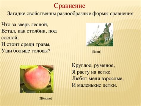 Узнаем больше о загадке: что такое "птица" и что такое "фрукт"