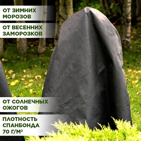 Украшение сада зимой: природное укрытие для растений