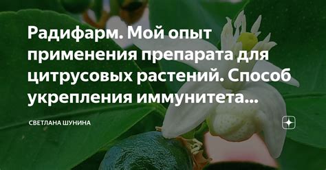 Укрепление иммунитета растения