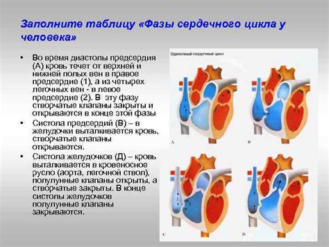 Улучшение качества жизни и состояния сердечной мышцы