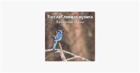 Уменьшение трансплантационного стресса