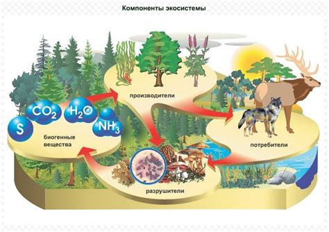 Уникальные биоразнообразие и экосистемы