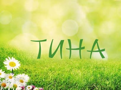 Уникальные черты личности с именем Тина
