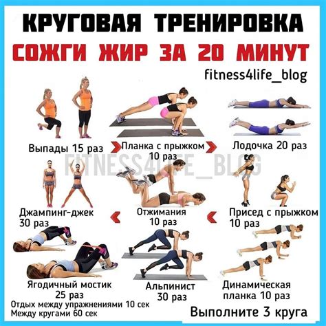 Упражнения для формирования и сжигания жира