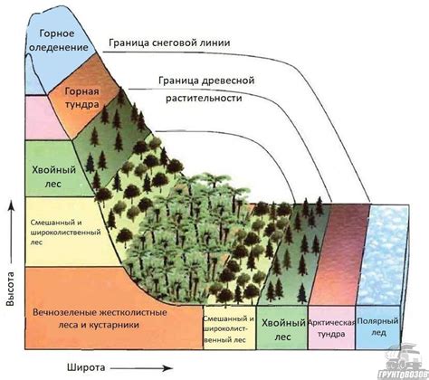 Уральский климат и особенности почвы