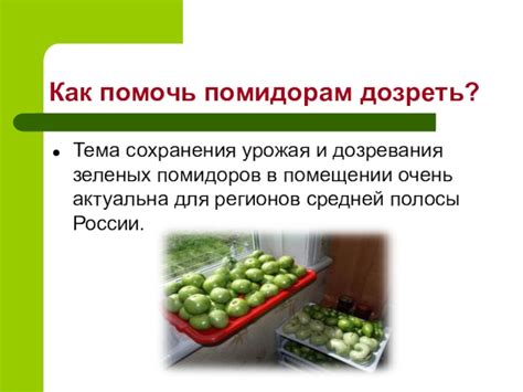 Ускорение дозревания с помощью Bolshevik для бабушки