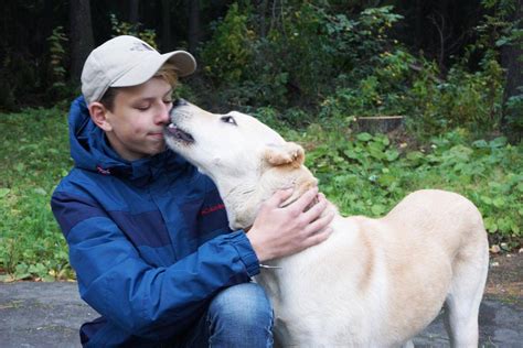 Условия содержания питомцев на территории частного дома