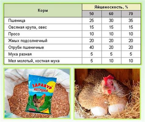 Условия хранения кормов для кур