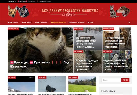 Услуги по поиску по номеру