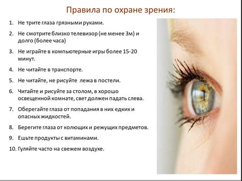 Усобрение взгляда: как сохранить грацию мурлыкиных усов