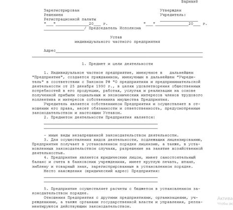 Устав ИП