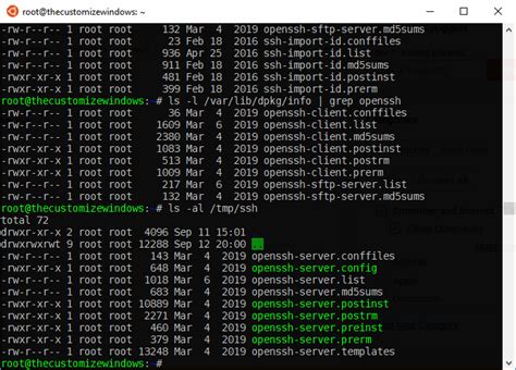 Установить пакет OpenSSH-server