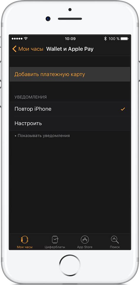 Установка и активация Apple Pay на мобильном устройстве