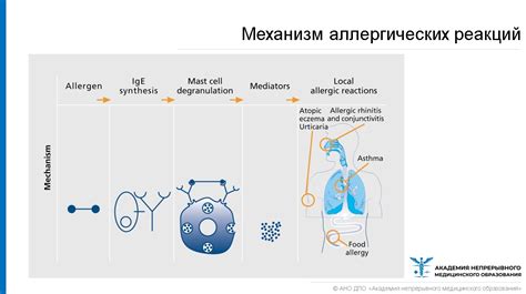 Устранение аллергических реакций