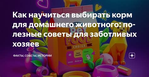 Уход за кустами шиповника: полезные советы для заботливых хозяев