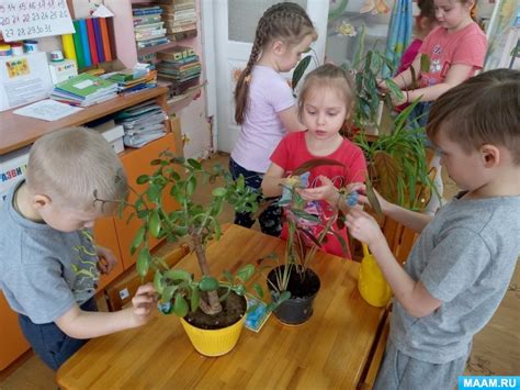 Уход за молодыми древесными растениями в осенний период