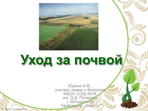 Уход за почвой и обеспечение ее плодородия