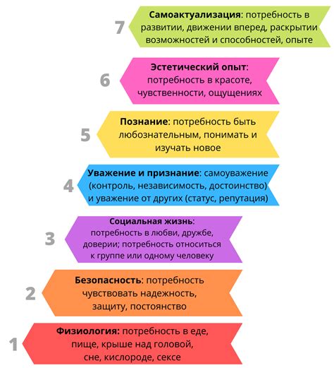 Учет потребностей и целей пользователя