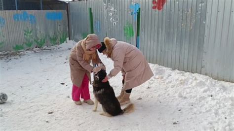 Учинить домашнее счастье