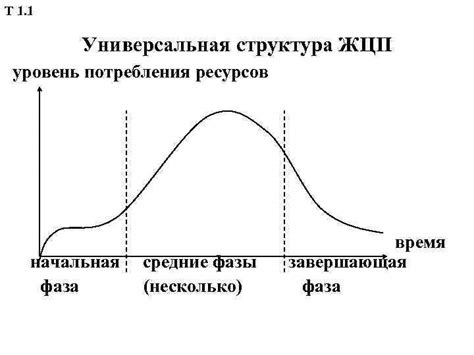 Фазы потребления