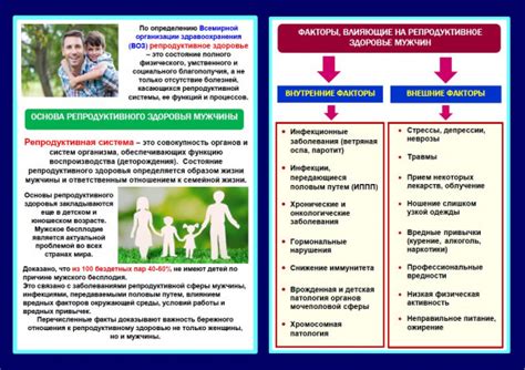 Факторы, влияющие на изменения в поведении и характере мужчин