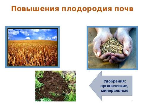Факторы, влияющие на кислотность почвы