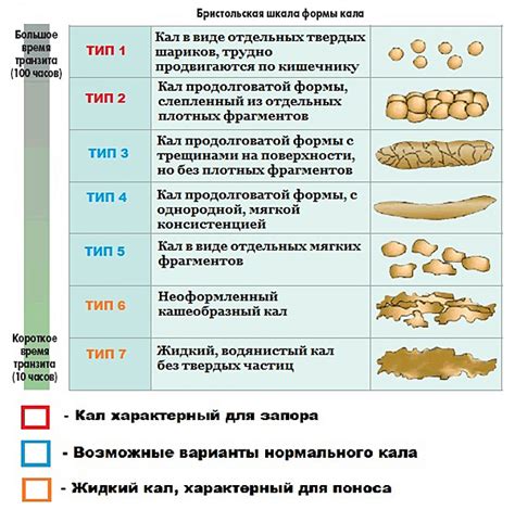 Факторы, приводящие к возникновению жидкого стула у взрослых