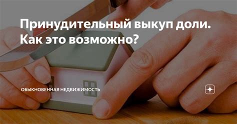 Фасоль на гв: основные аспекты
