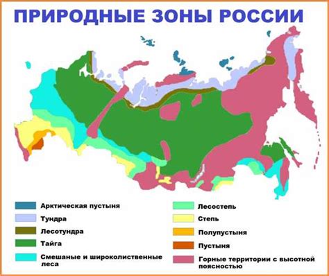 Фейхоа: климатические зоны и регионы произрастания