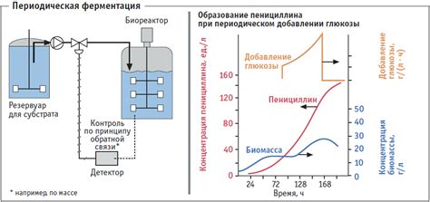 Ферментация и контроль температуры