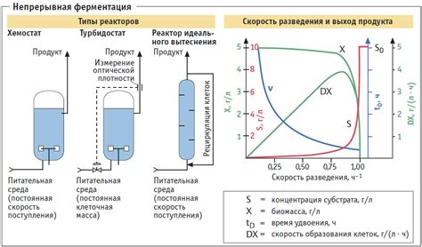 Ферментация смеси и контроль температуры