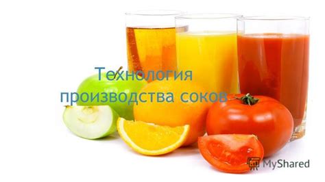 Ферментация соков и кожуры розовых ягод: рассматриваем уникальный процесс производства