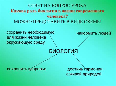 Феромоны: определение, свойства и роль в жизни человека