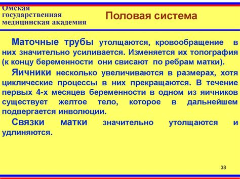 Физиологические изменения в организме самца в процессе размножения