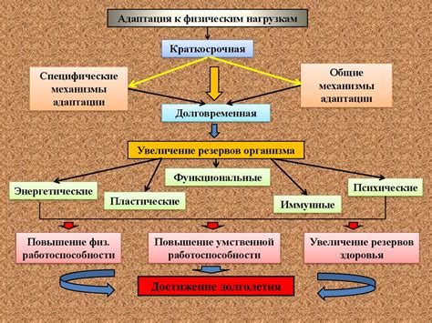 Физиологические механизмы изменения температуры организма при эмоциональном возбуждении