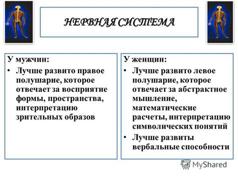 Физиологические особенности женщин и различия в методах расчета