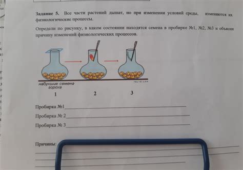 Физиологические процессы при изменении давления