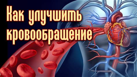 Физическая активность и улучшение кровообращения