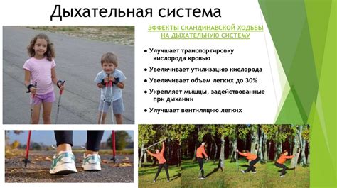 Физическая активность как основа здоровья