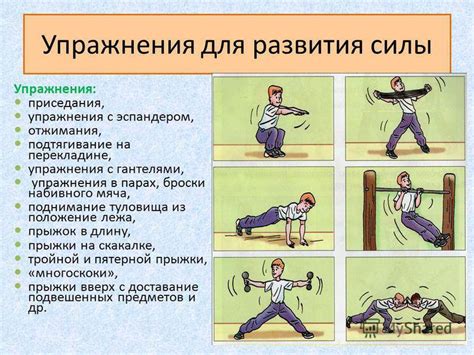 Физические упражнения для увеличения силы