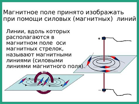 Физический смысл магнитных линий
