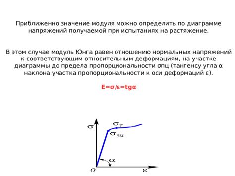 Физическое значение кривой упругости