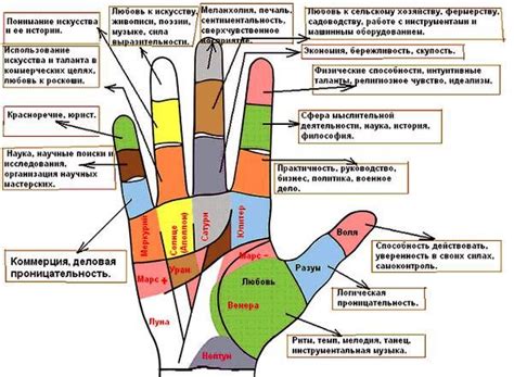 Фундаментальное значение пальцев в развитии человека