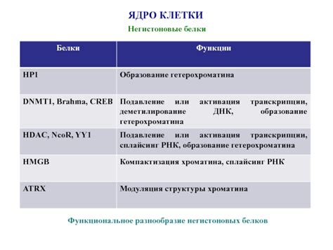 Функциональное разнообразие белков