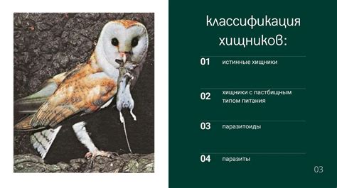 Хищничество и паразитизм: