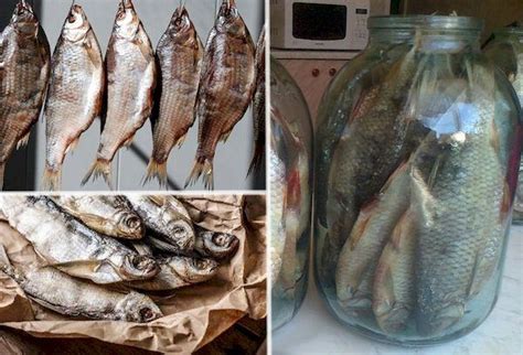 Хранение засоленной рыбы