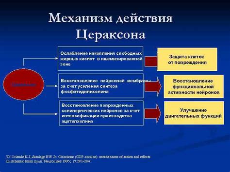 Цераксон: механизм действия